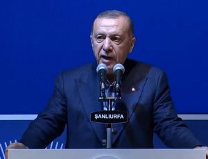 Cumhurbaşkanı Erdoğan’dan pamuk ve ayçiçeği üreticilerine müjde