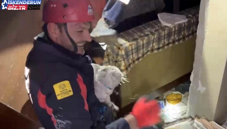 Konya itfaiyesi zelzeleden 11 gün sonra ağır hasarlı binada kalan kediyi kurtardı