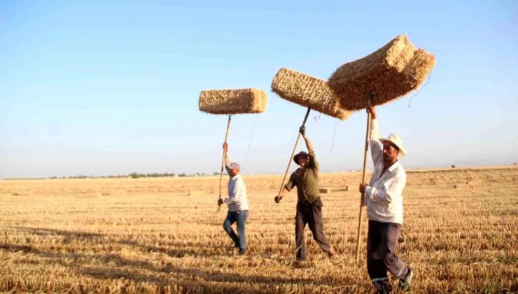 Sarsıntının Vurduğu Hatay’da Buğday Hasadının Akabinde Balya Mesaisi Başladı