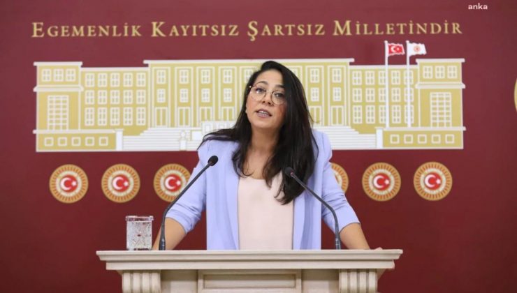 TİP Sözcüsü Kadıgil, Tutuklu Milletvekili Atalay’ın Tahliye Edilmemesini Meclis Gündemine Taşıdı