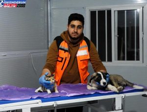 Veterinerlik öğrencisi depremzedelerin evcil hayvanlarını tedavi ediyor