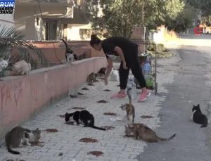 Enkaz kentin kedilerinin Gürcü annesi