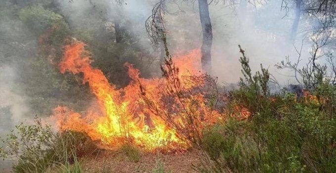 Hatay’ın Yayladağı ilçesinde ormanlık alanda çıkan yangın söndürüldü