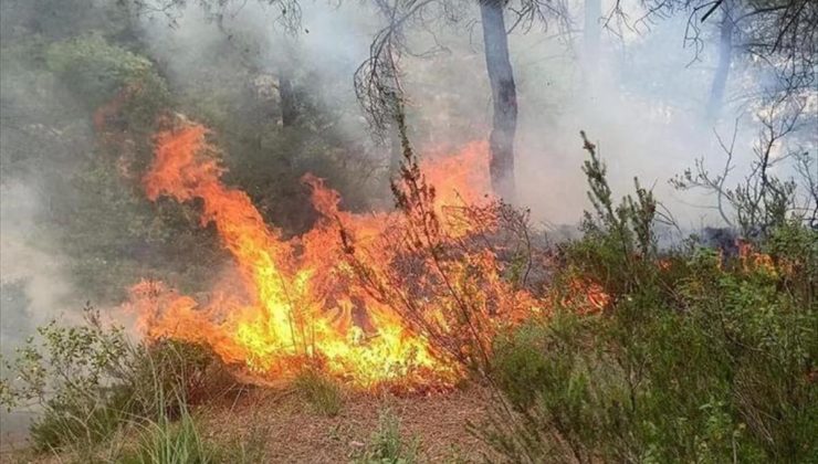 Hatay’ın Yayladağı ilçesinde ormanlık alanda çıkan yangın söndürüldü